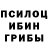 Псилоцибиновые грибы прущие грибы DGPIPS PIPS4L