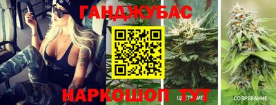 крисы Бийск