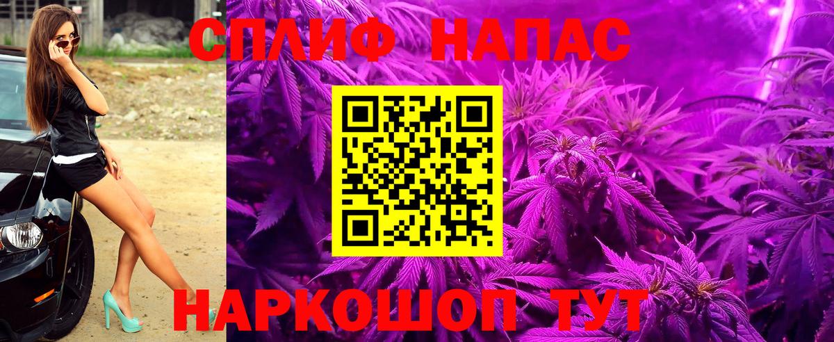Конопля THC 21%  Марихуана план  Тверь  Каннабис Amnesia  Каннабис AK-47 
